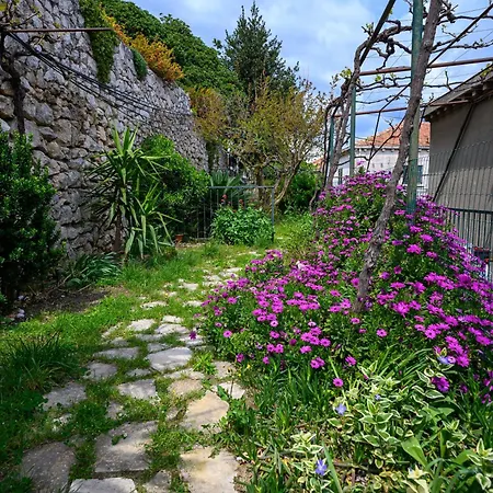 Apartman Green Holiday