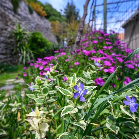 Green Holiday דירה דוברובניק