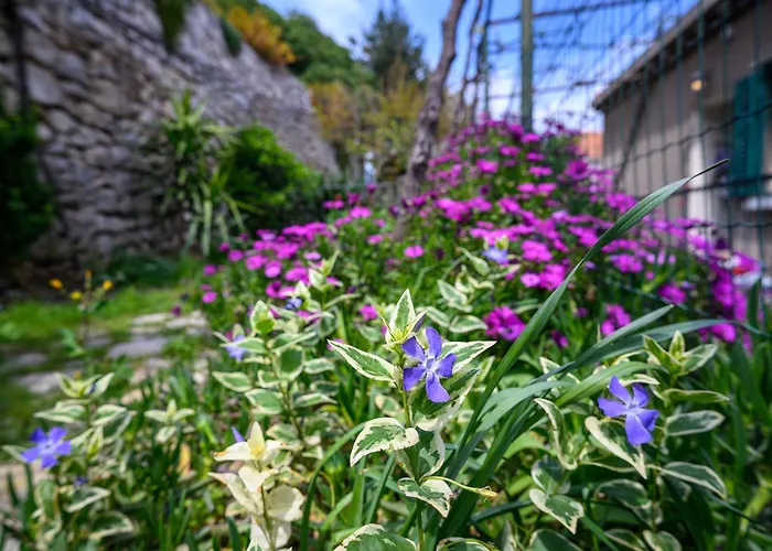 Green Holiday Apartament Dubrownik